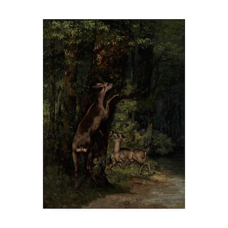 Courbet 'Deer In The Forest' Canvas Art,24x32